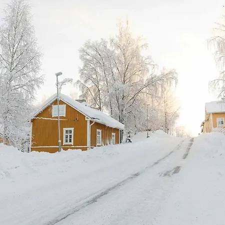 Finlandia Puu-juuka Juuka